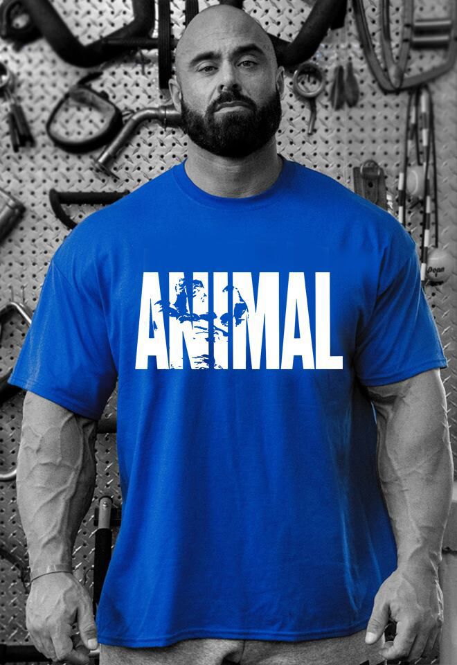 速卖通 ANIMAL圆领男士棉肌肉健身健美男士t恤锻炼