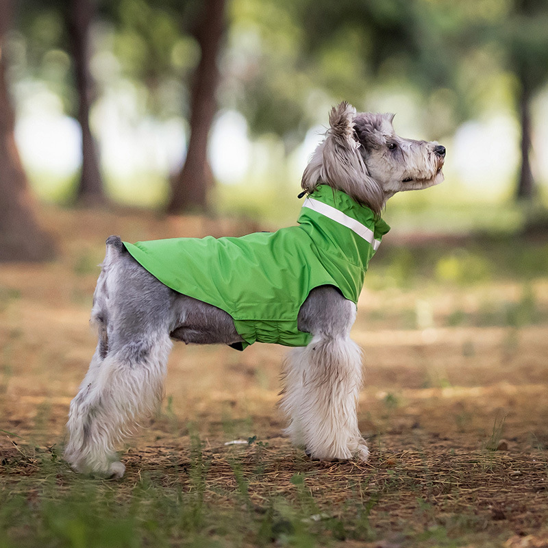 All-Season Waterproof Dog Windbreaker/Raincoat for Small and Medium Dogs – Windproof, Breathable, Easy-to-Wear Dog Apparel